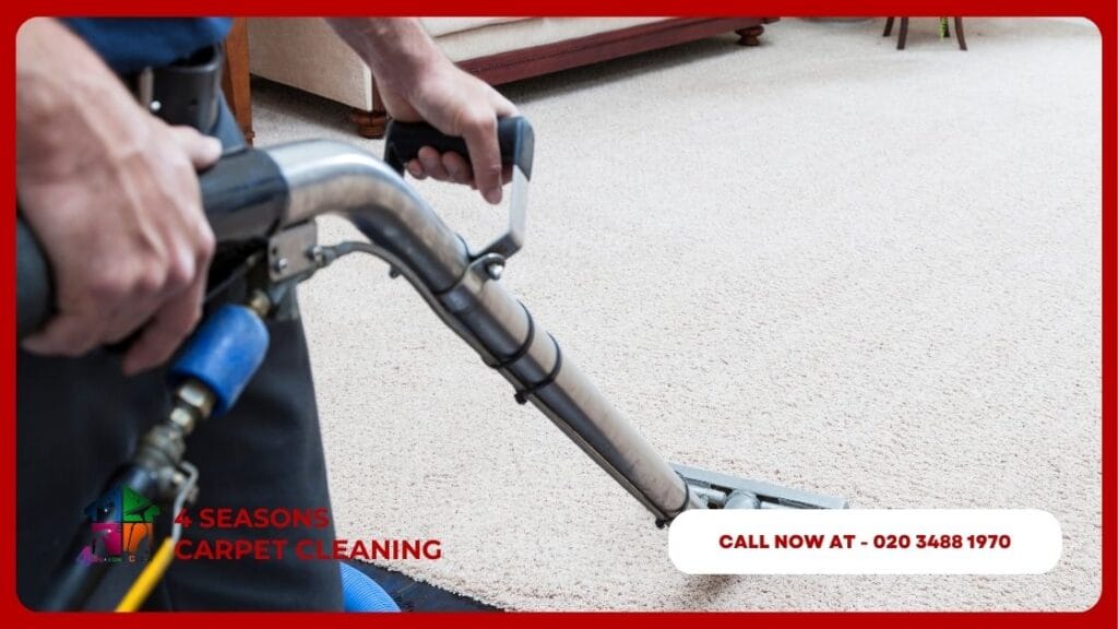 Dry Carpet After Professional Cleaning