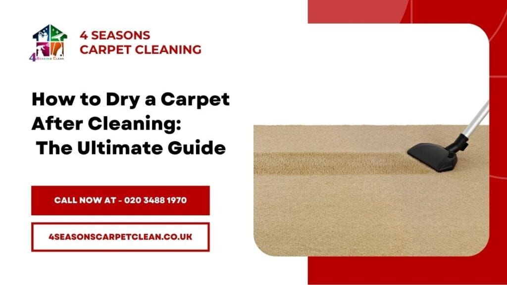 Professional Carpet Cleaning Drying