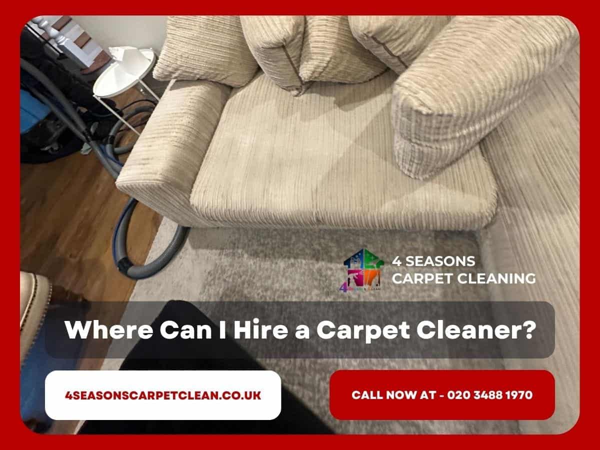 Where Can I Hire a Carpet Cleaner