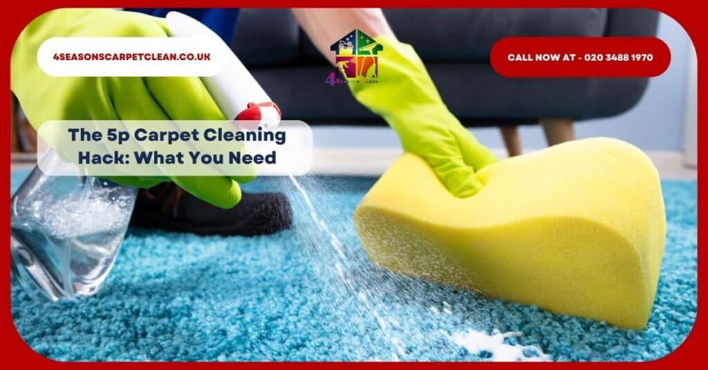 The 5p Carpet Cleaning Hack What You Need