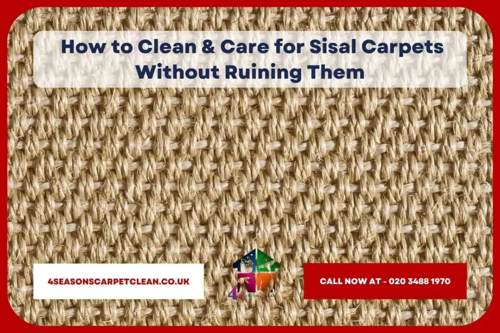 How to Clean & Care for Sisal Carpets Without Ruining Them